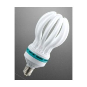 CFL BULB 125W