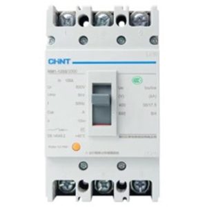CHINT BIG MCB 125A NM1-125S