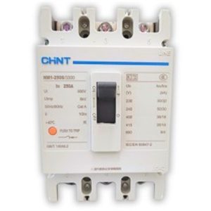 CHINT BIG MCB 200A NM1-250S