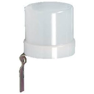 DAYLIGHT SWITCH 10A
