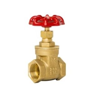 GATE VALVE 1/2"