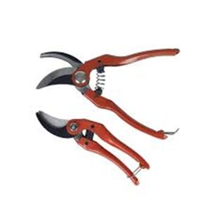 PRUNING SHEAR